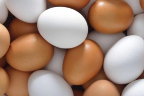 Yumurtadaki Besin Değerini Koruyan En Sağlıklı Pişirme Yöntemleri Açıklandı
